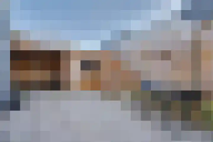 Prins Hendriklaan 3 Zuidland thumbnail 22