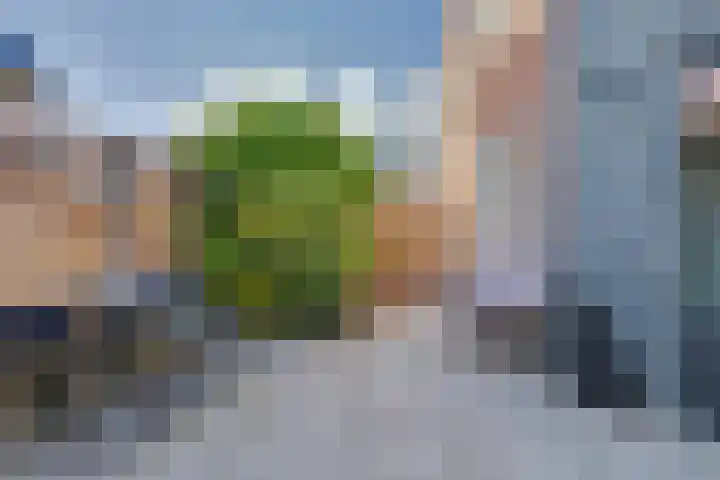 Prins Hendriklaan 3 Zuidland thumbnail 23