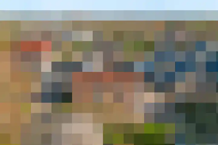 Prins Hendriklaan 3 Zuidland thumbnail 24