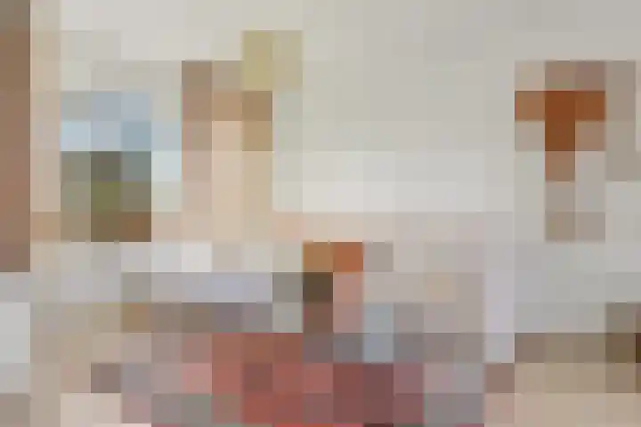 Prins Hendriklaan 3 Zuidland thumbnail 4