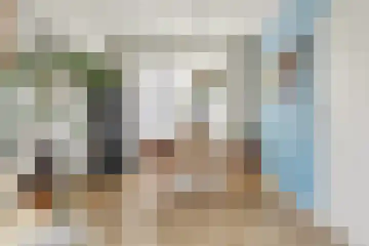 Prins Hendriklaan 3 Zuidland thumbnail 7