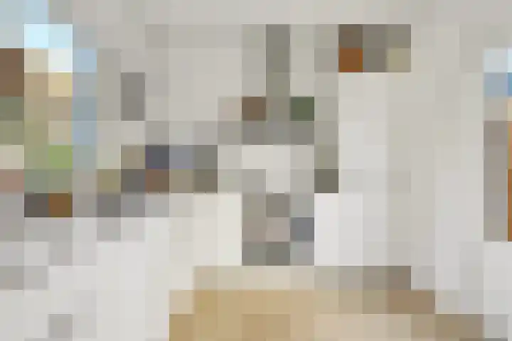 Prins Hendriklaan 3 Zuidland thumbnail 8