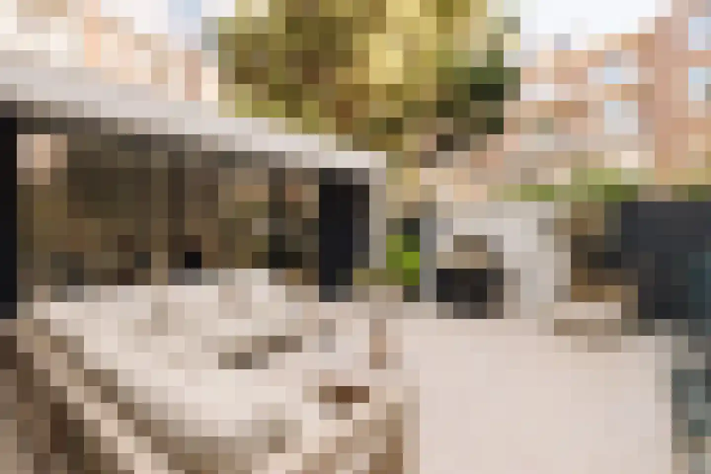 Prins Hendriklaan 30 A Amsterdam thumbnail 18