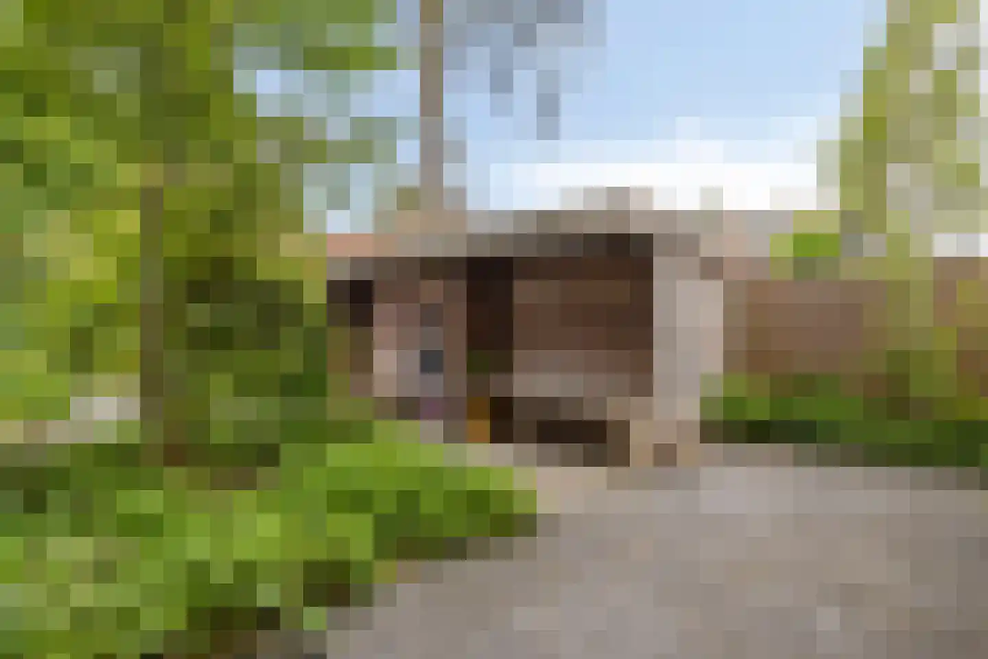 Prins Hendriklaan 33 Zeist thumbnail 63