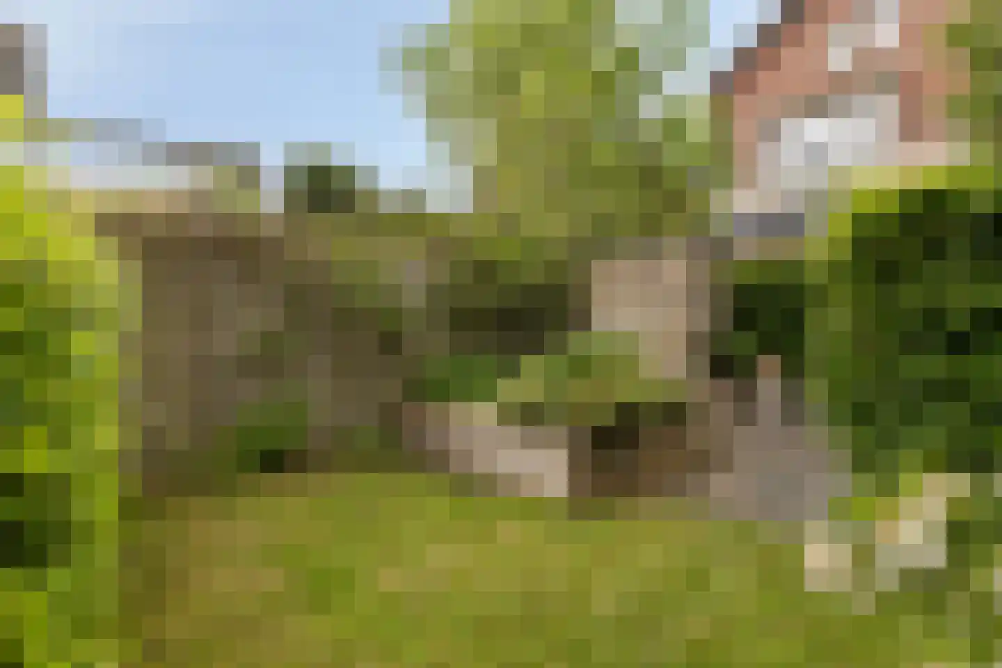 Prins Hendriklaan 33 Zeist thumbnail 64