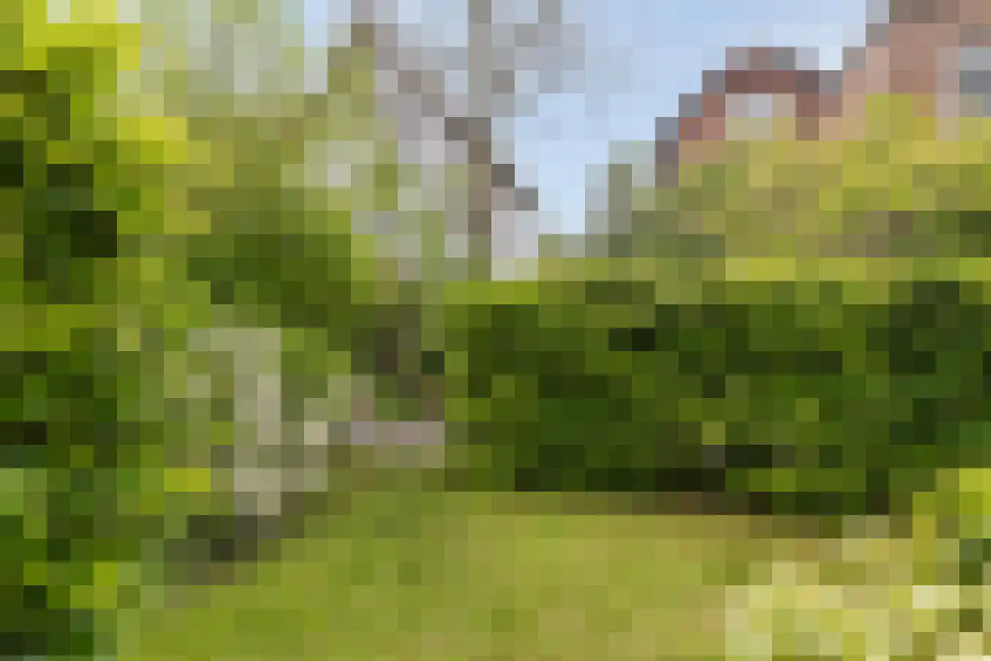Prins Hendriklaan 33 Zeist thumbnail 65