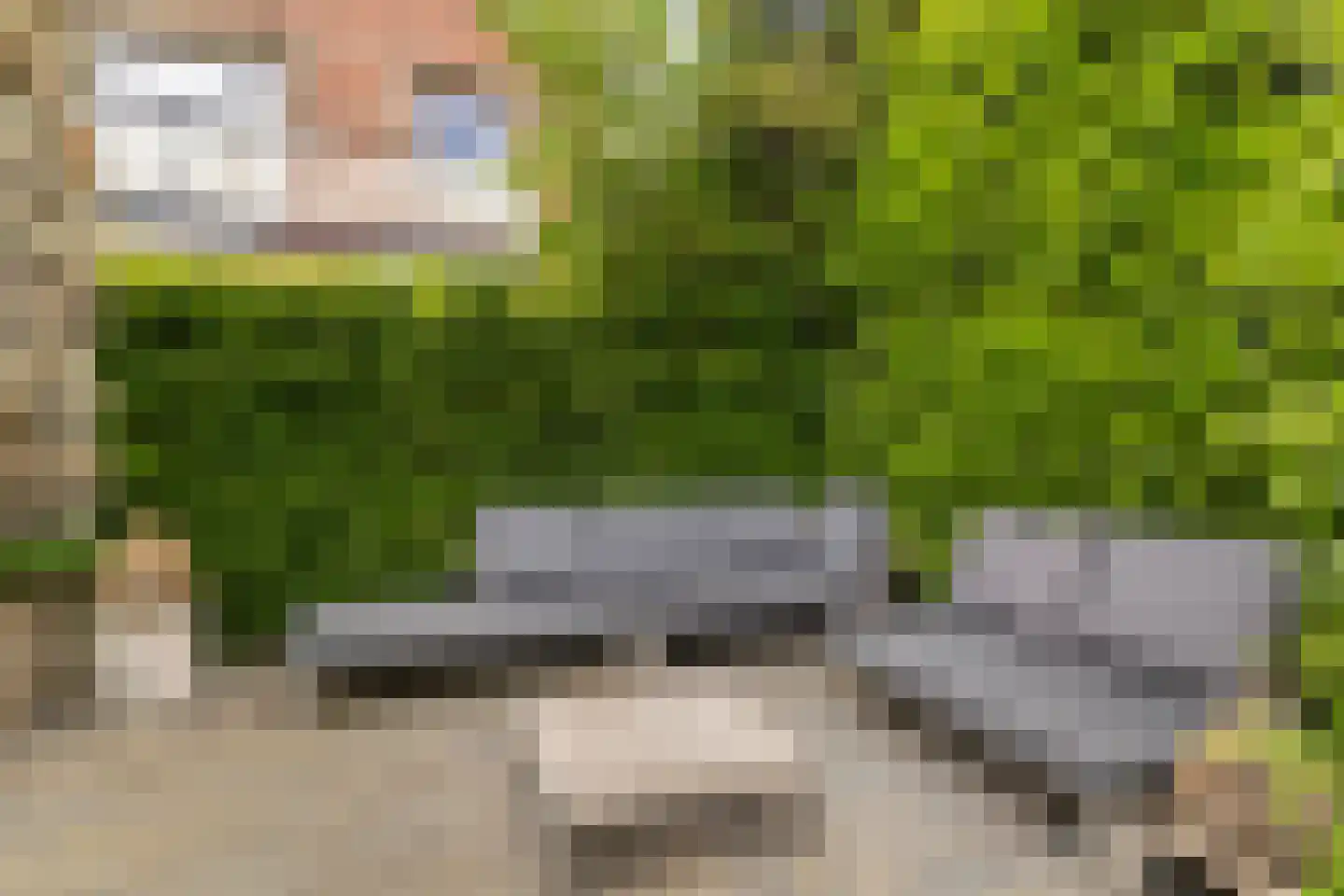 Prins Hendriklaan 33 Zeist thumbnail 66