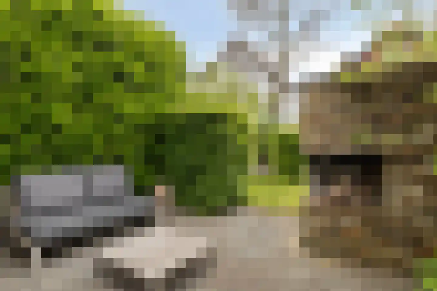 Prins Hendriklaan 33 Zeist thumbnail 67