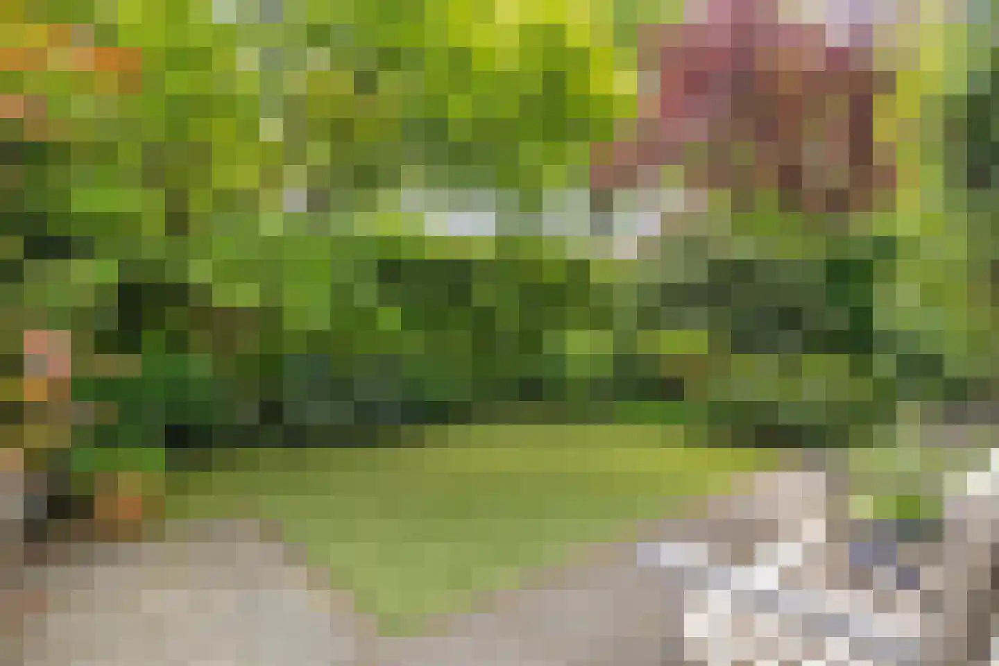 Prins Hendriklaan 33 Zeist thumbnail 72