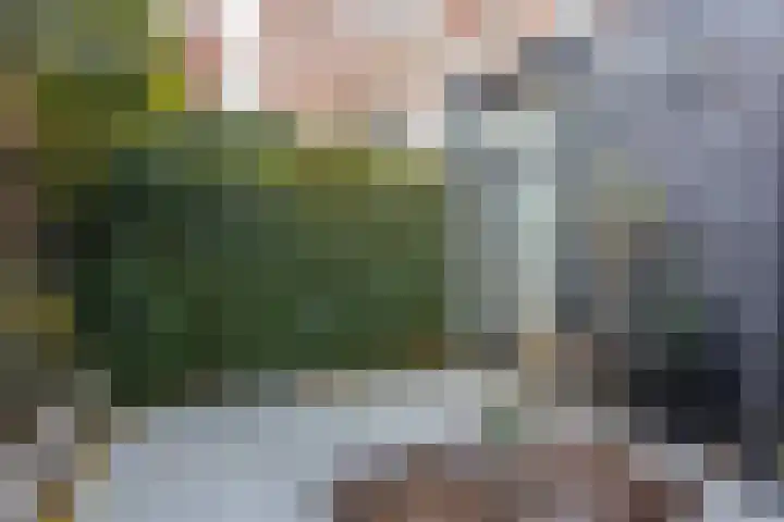 Prins Hendriklaan 36 Utrecht thumbnail 23