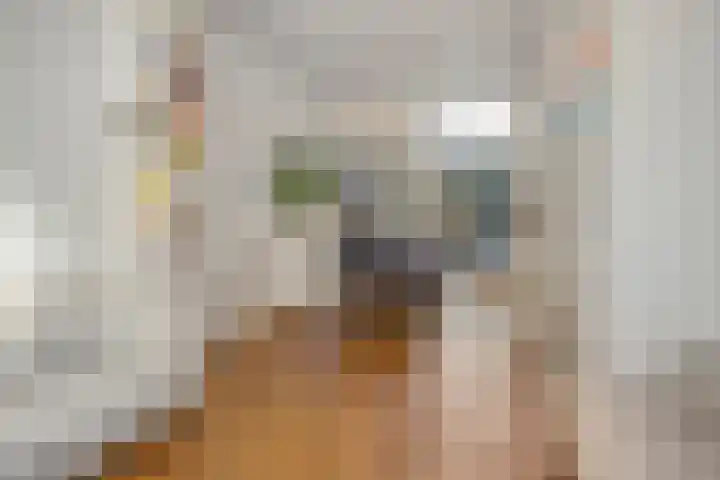 Prins Hendriklaan 36 Utrecht thumbnail 8