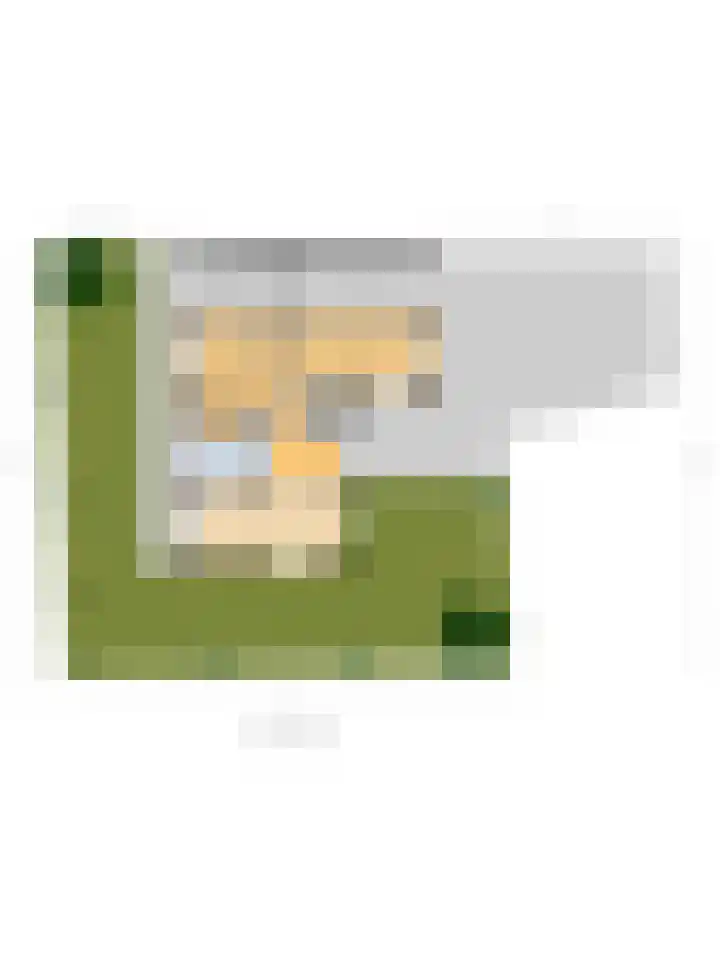Prins Hendriklaan 37 Zuidland thumbnail 32