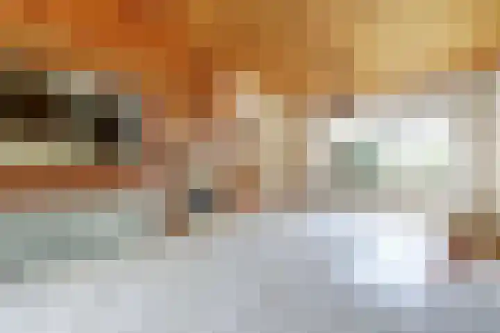 Prins Hendriklaan 37 Zuidland thumbnail 8