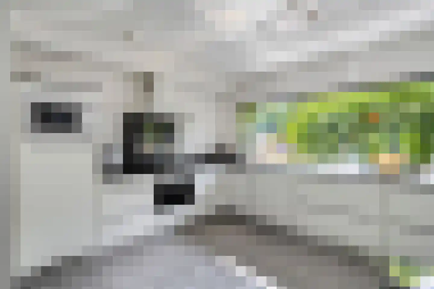 Prins Hendriklaan 390 Brunssum thumbnail 10