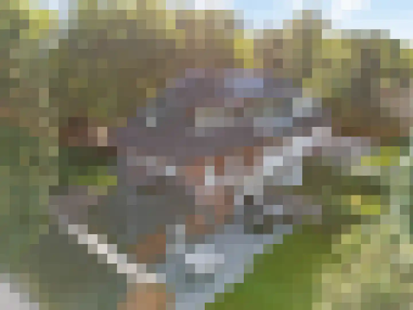 Prins Hendriklaan 4 Baarn thumbnail 39