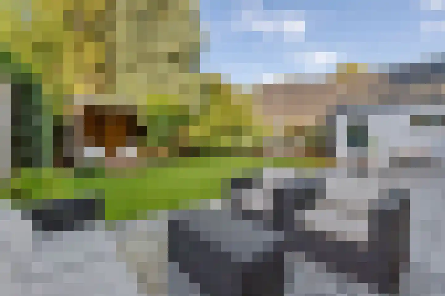 Prins Hendriklaan 4 Baarn thumbnail 41