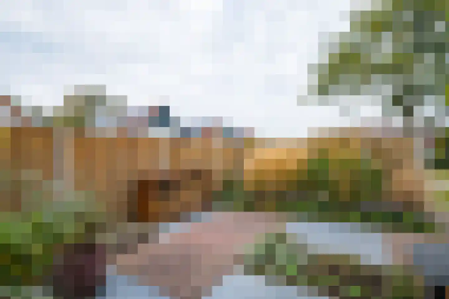 Prins Hendriklaan 41 Varsseveld thumbnail 49