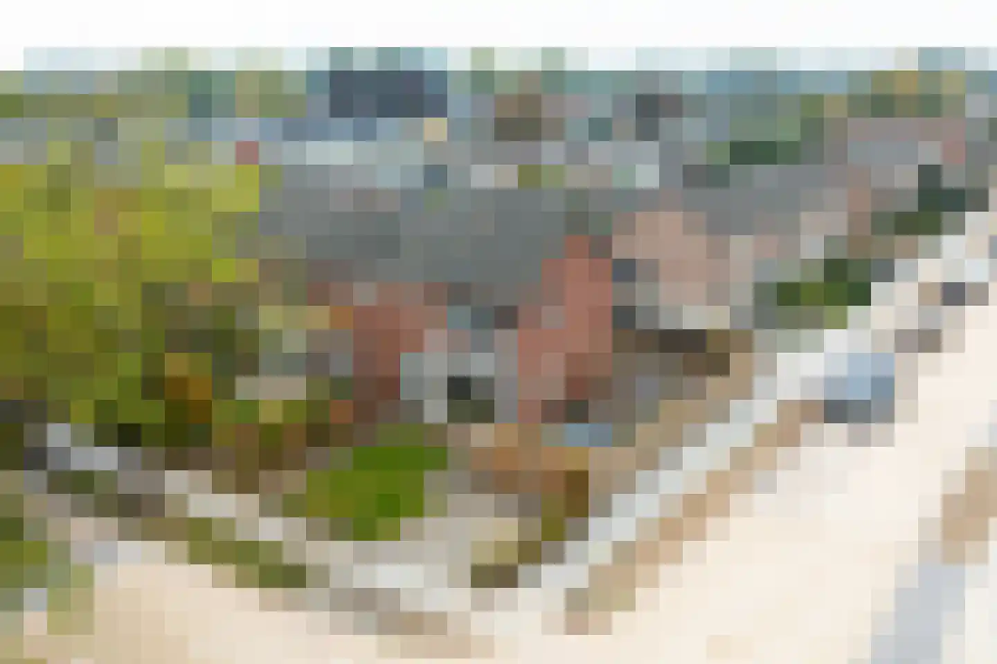 Prins Hendriklaan 41 Varsseveld thumbnail 6