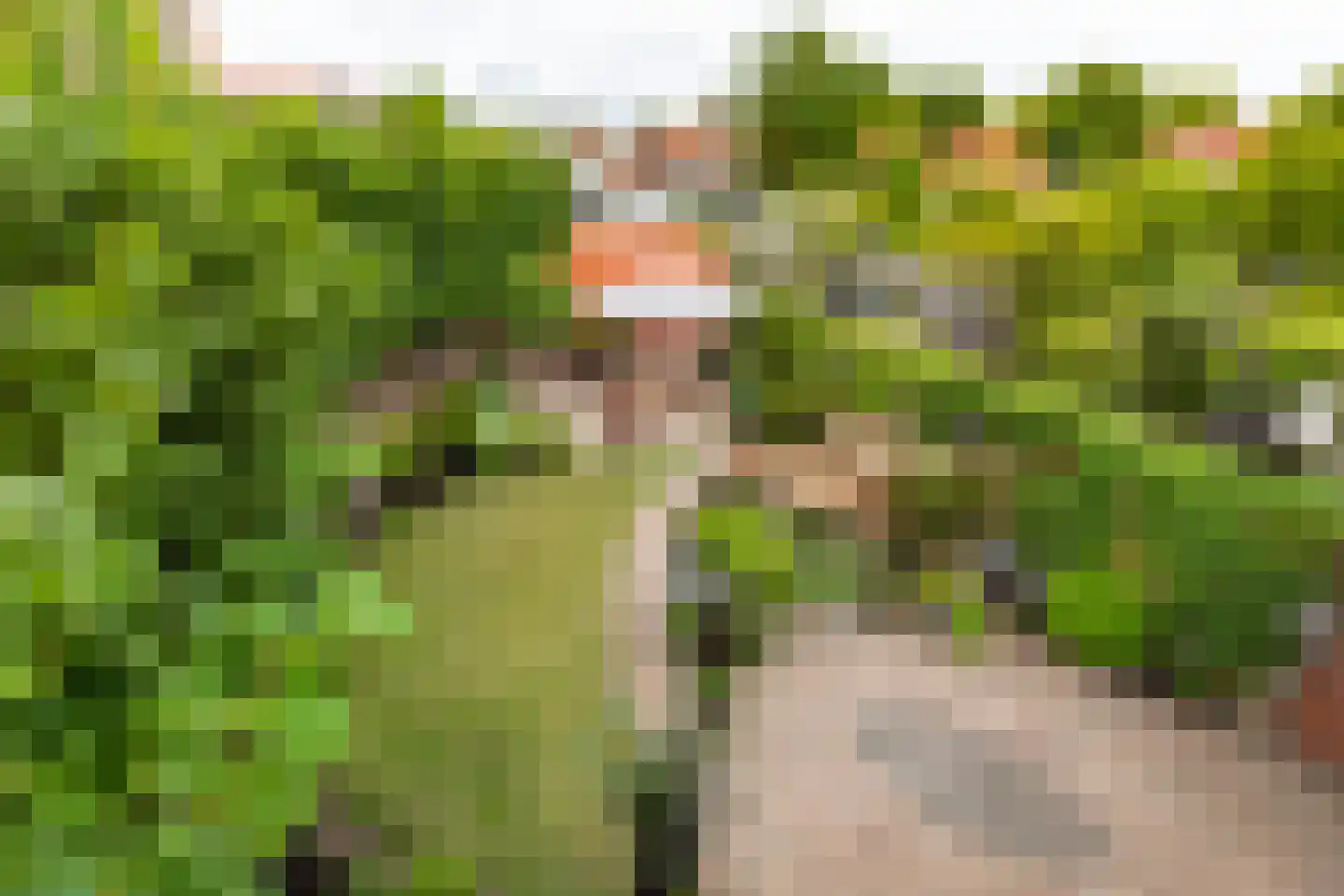 Prins Hendriklaan 42 Hoofddorp thumbnail 30
