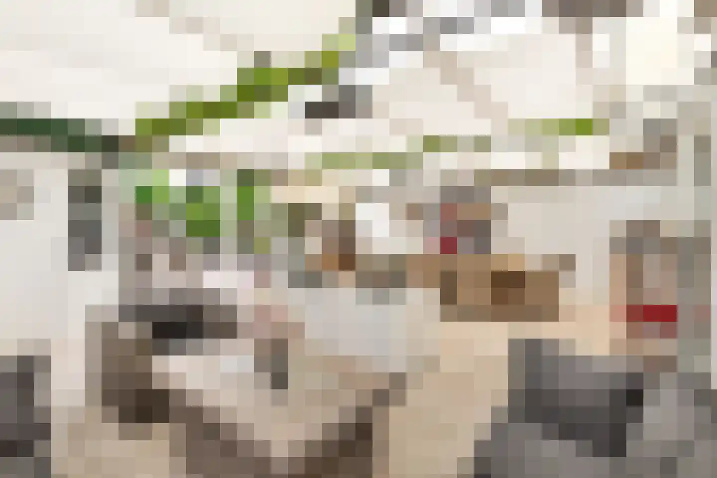 Prins Hendriklaan 42 Hoofddorp thumbnail 35