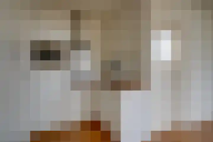 Prins Hendriklaan 43 A Utrecht thumbnail 7