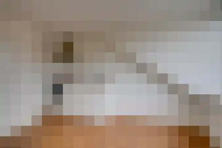 Prins Hendriklaan 43 B Utrecht thumbnail 4
