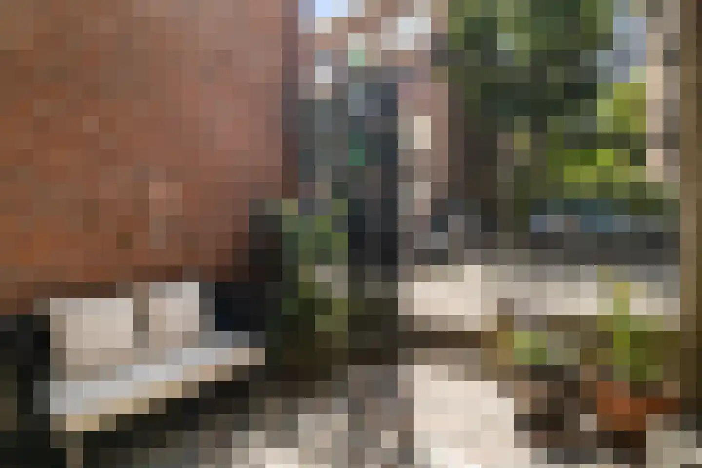 Prins Hendriklaan 46 B Rotterdam thumbnail 4