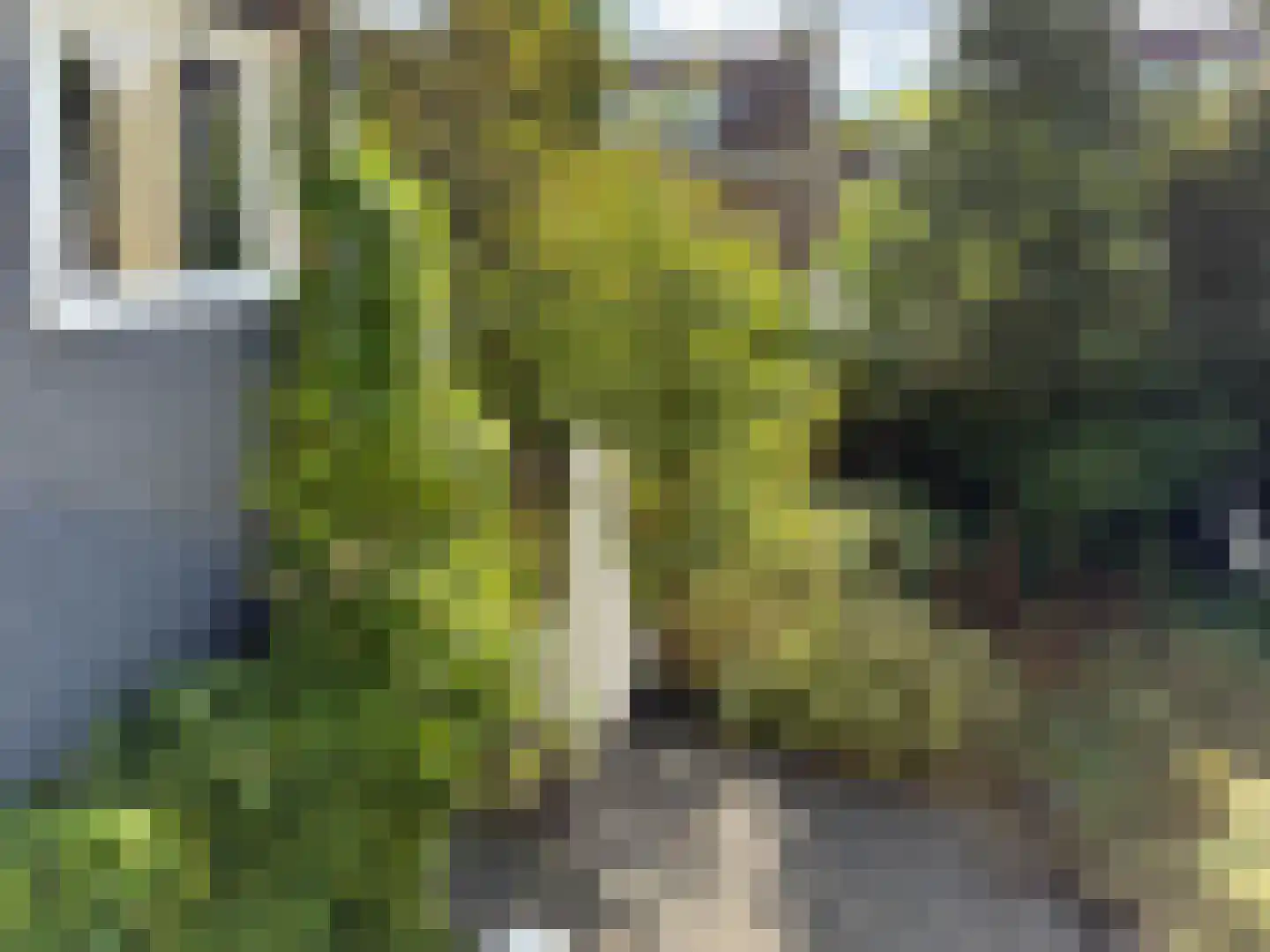 Prins Hendriklaan 46 Bergen (NH) thumbnail 32