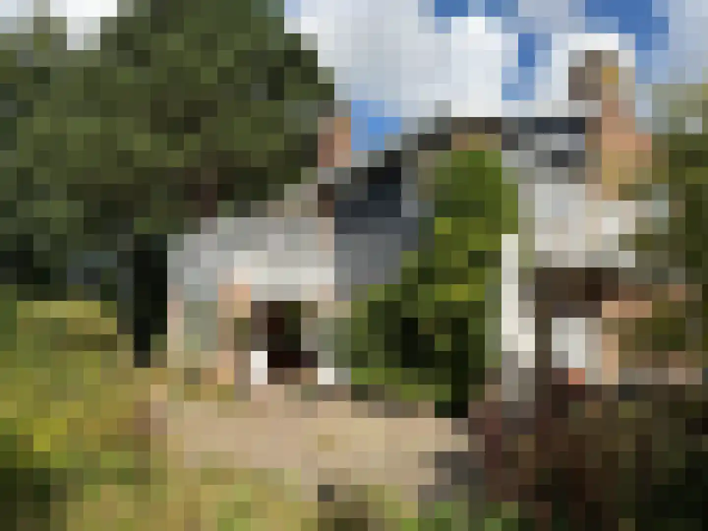 Prins Hendriklaan 46 Bergen (NH) thumbnail 51