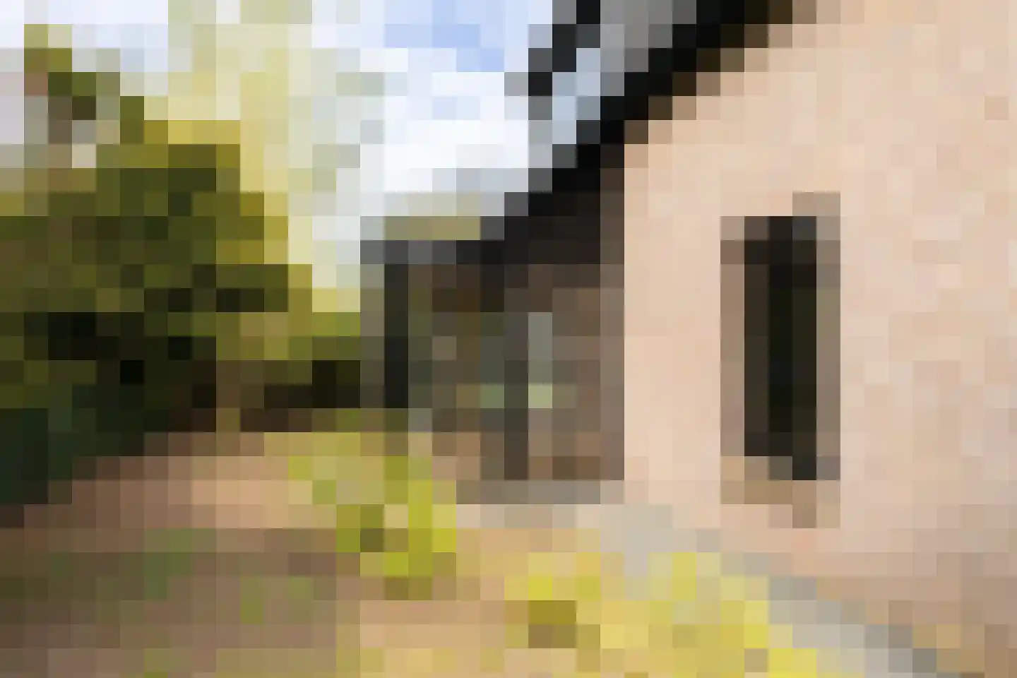 Prins Hendriklaan 46 Ermelo thumbnail 9