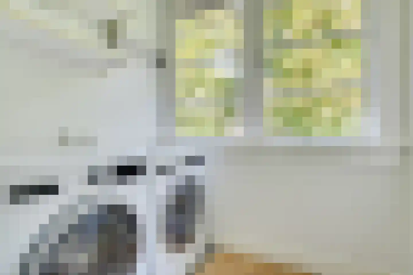 Prins Hendriklaan 55 Utrecht thumbnail 31