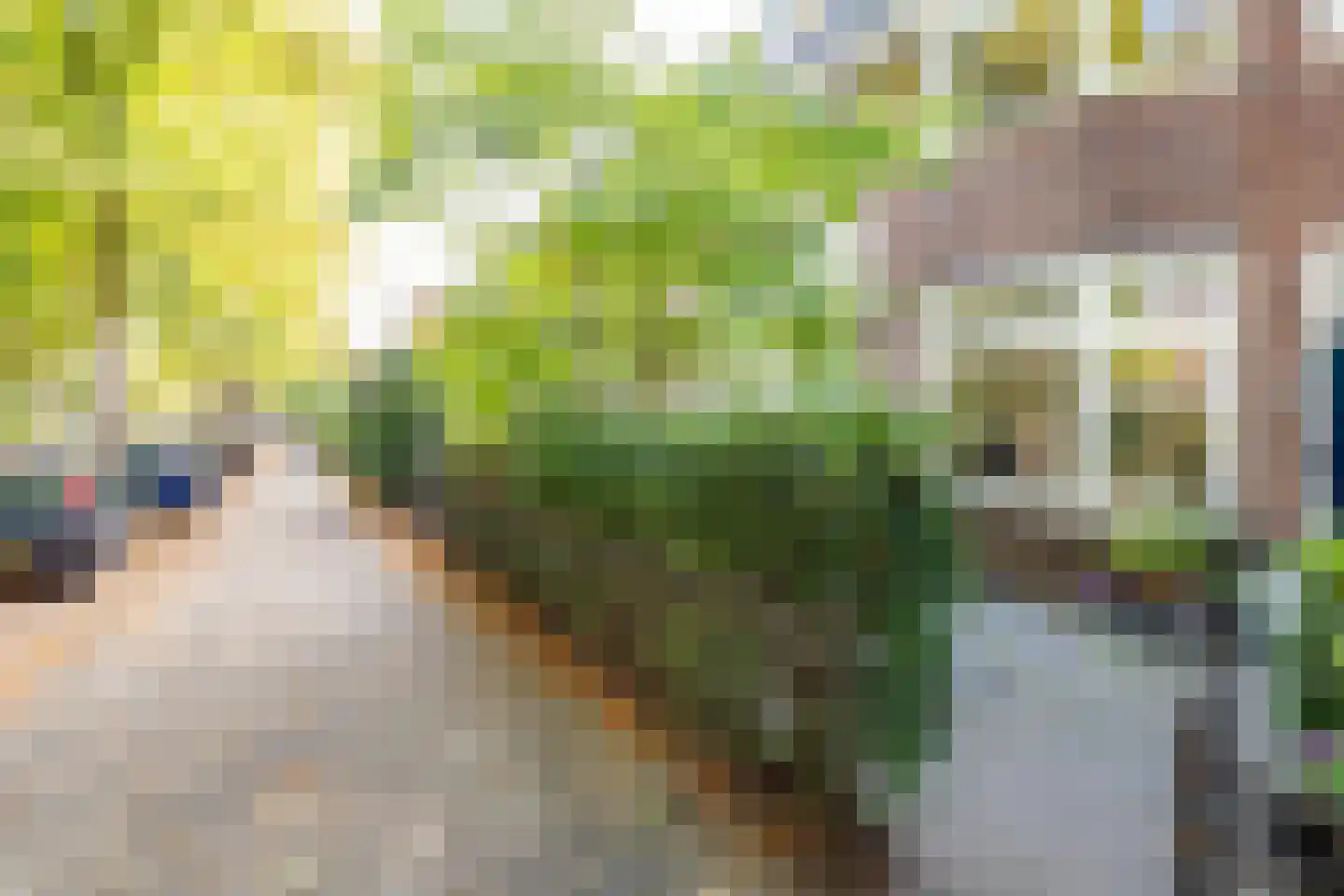 Prins Hendriklaan 55 Utrecht thumbnail 46