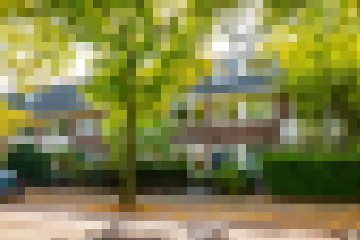 Prins Hendriklaan 55 Utrecht thumbnail 49