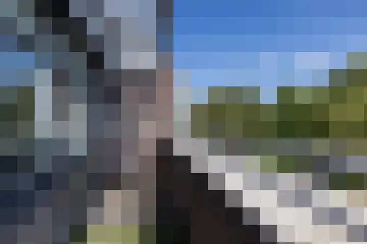 Prins Hendriklaan 58 HS09 Brunssum thumbnail 30