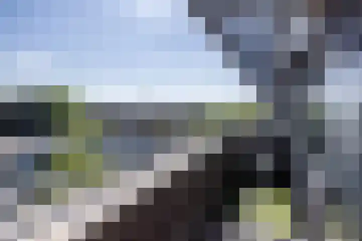 Prins Hendriklaan 58 HS09 Brunssum thumbnail 31