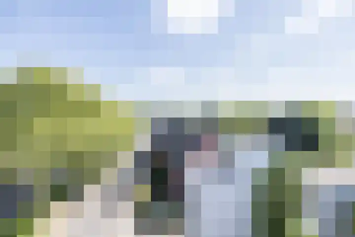 Prins Hendriklaan 58 HS09 Brunssum thumbnail 32