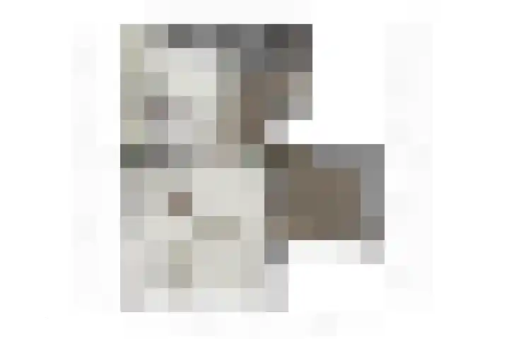 Prins Hendriklaan 58 HS09 Brunssum thumbnail 45