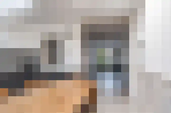 Prins Hendriklaan 60 Leidschendam thumbnail 11