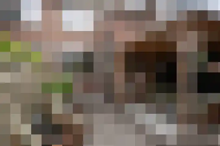 Prins Hendriklaan 61 Vlaardingen thumbnail 35