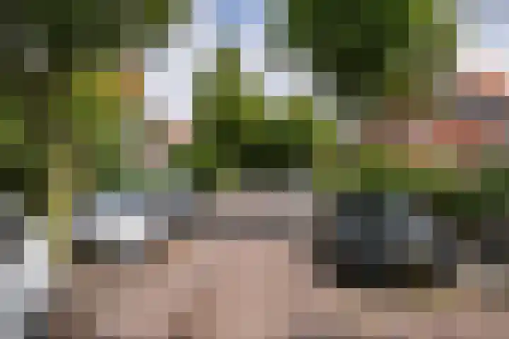 Prins Hendriklaan 61 Vlaardingen thumbnail 38