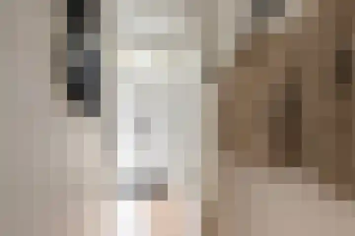 Prins Hendriklaan 61 Vlaardingen thumbnail 6