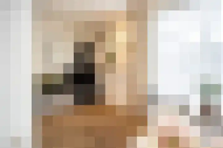 Prins Hendriklaan 7 Berg en Dal thumbnail 13