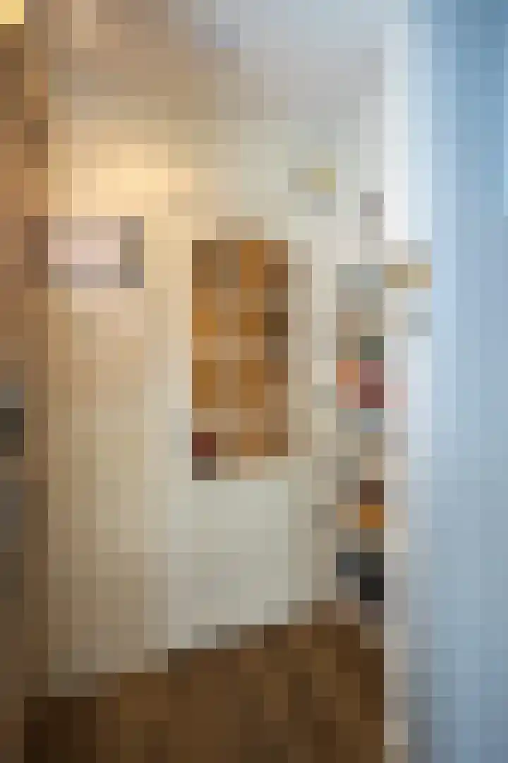 Prins Hendriklaan 7 Berg en Dal thumbnail 17