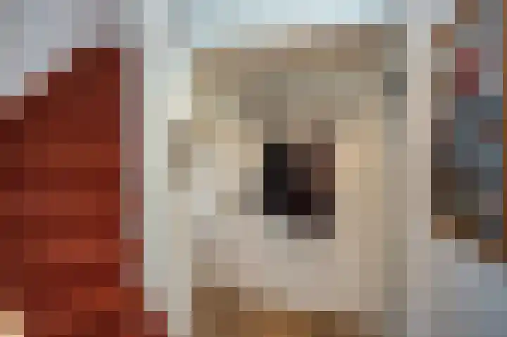 Prins Hendriklaan 7 Berg en Dal thumbnail 18