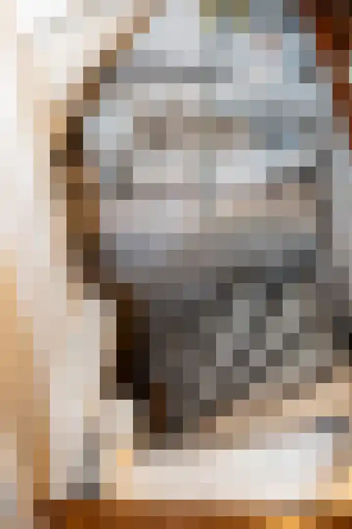 Prins Hendriklaan 7 Berg en Dal thumbnail 20