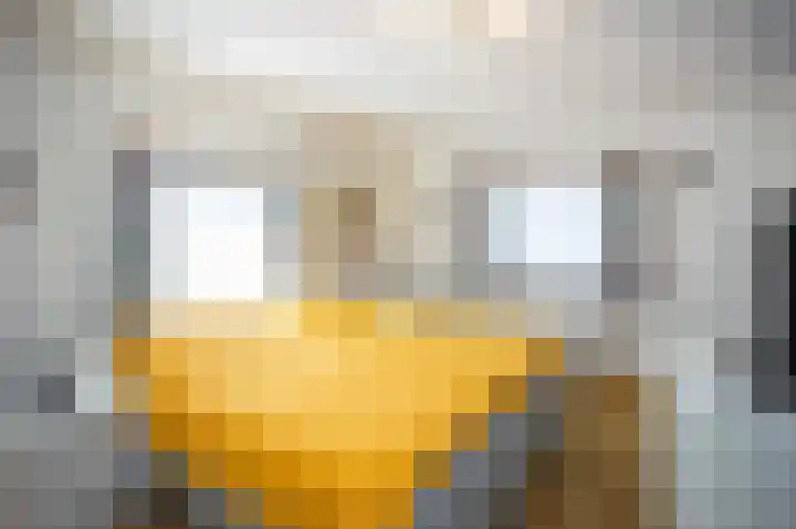 Prins Hendriklaan 7 Berg en Dal thumbnail 24