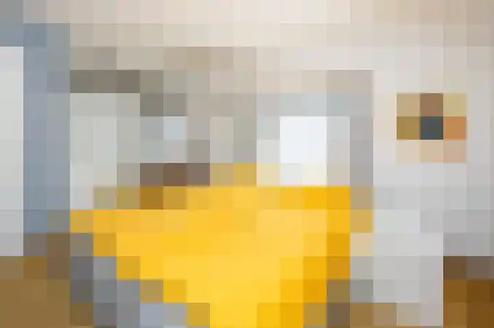 Prins Hendriklaan 7 Berg en Dal thumbnail 25