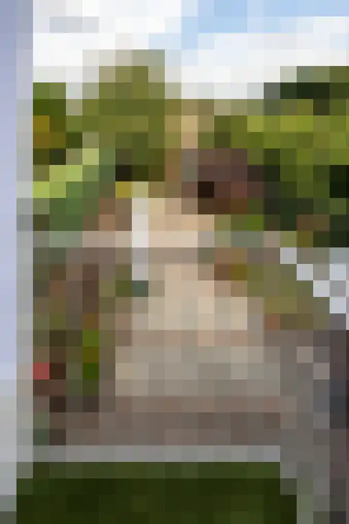 Prins Hendriklaan 7 Berg en Dal thumbnail 30