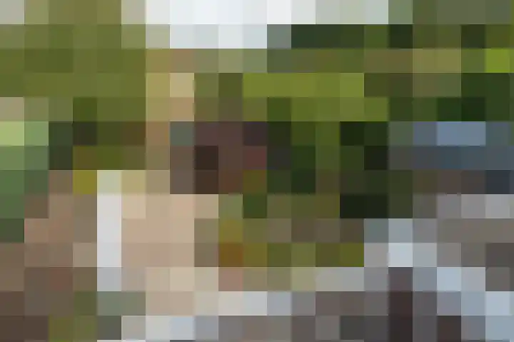 Prins Hendriklaan 7 Berg en Dal thumbnail 31