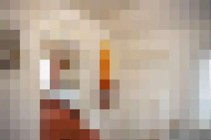 Prins Hendriklaan 7 Berg en Dal thumbnail 32
